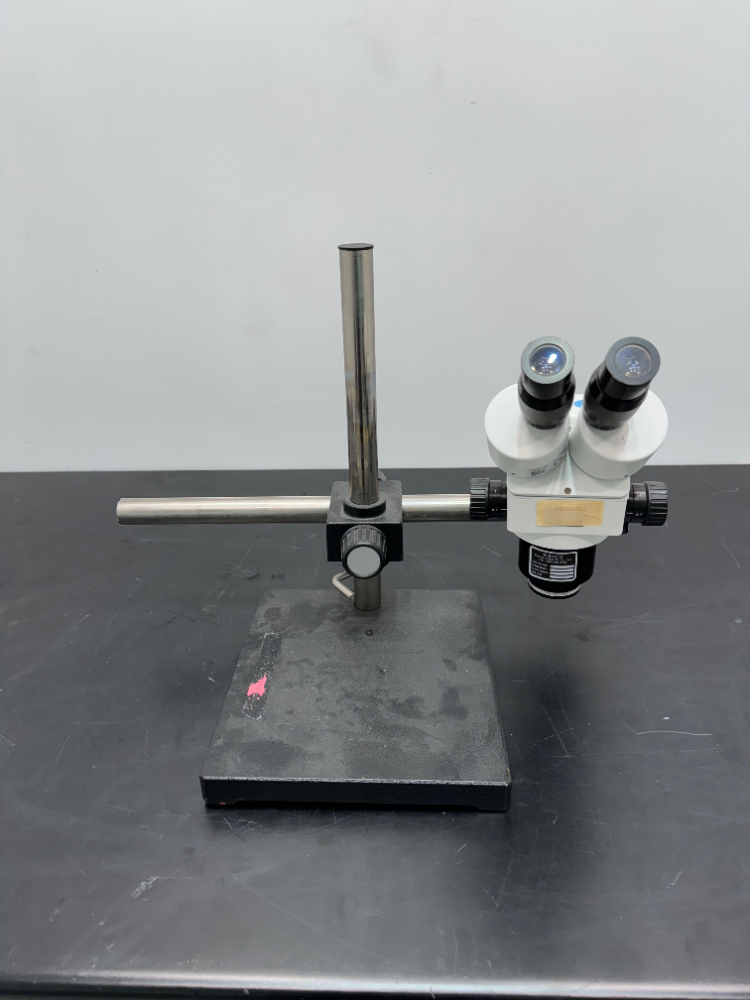 Image of Stereo Microscope